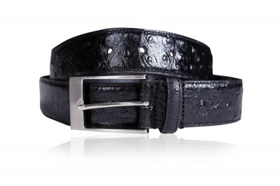 Belt 4