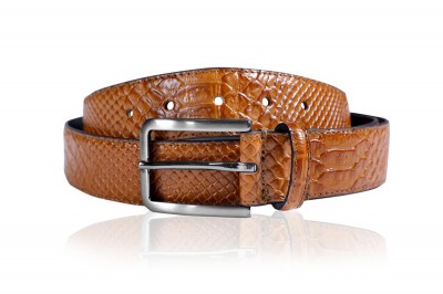 Belt 1