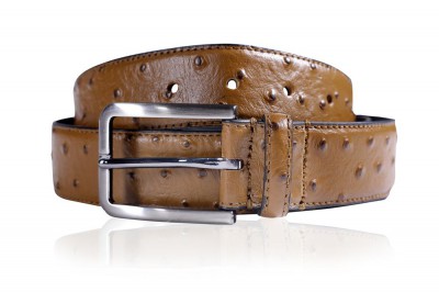 Belt 6